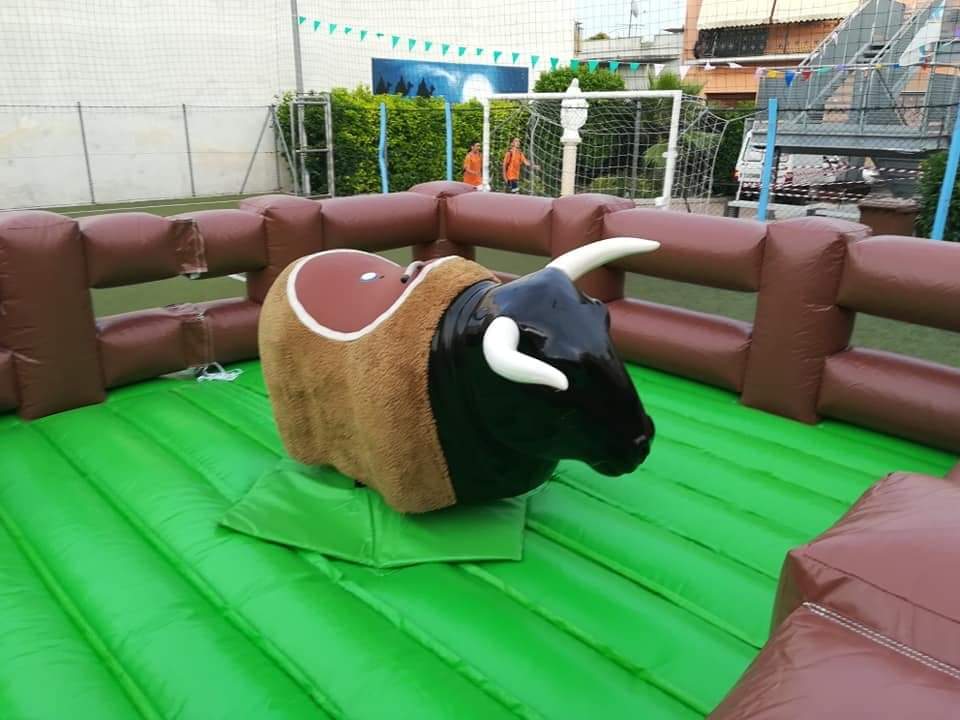 TORO MECCANICO USATO COME NUOVO