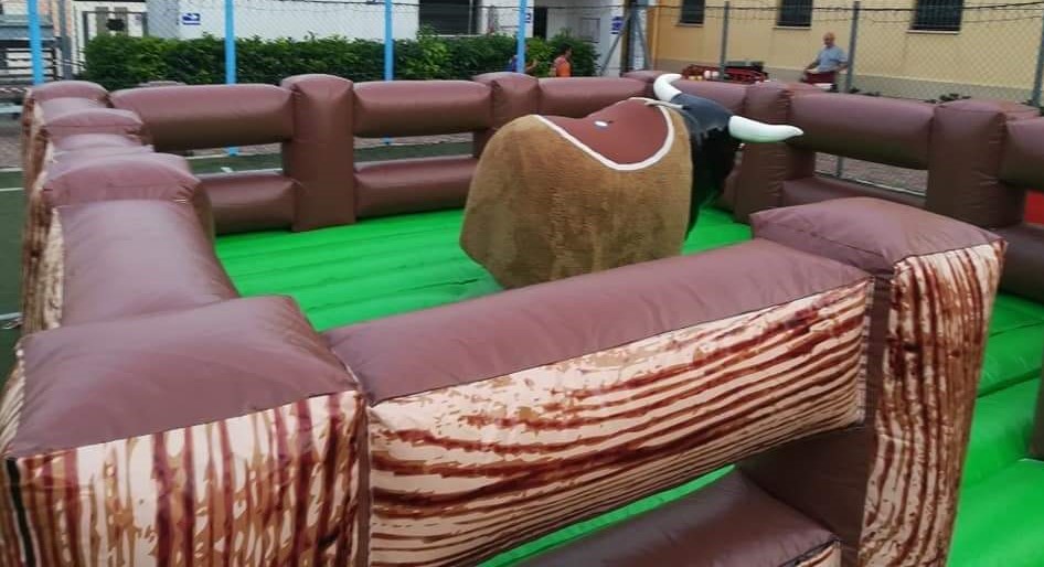 TORO MECCANICO NUOVO
